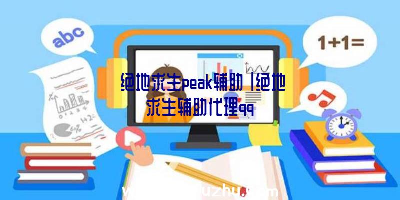 「绝地求生peak辅助」|绝地求生辅助代理qq